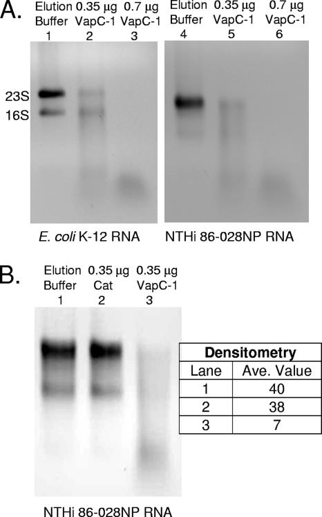 FIG. 7.