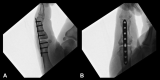 Figure 4