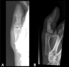 Figure 6