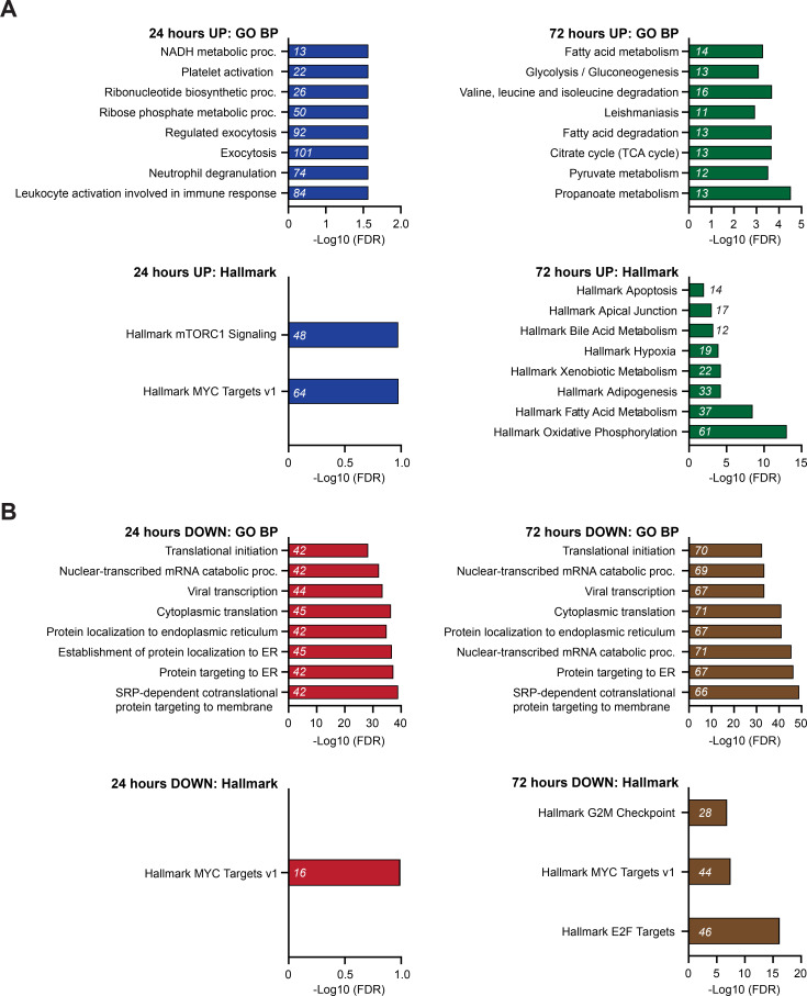 Figure 3—figure supplement 2.