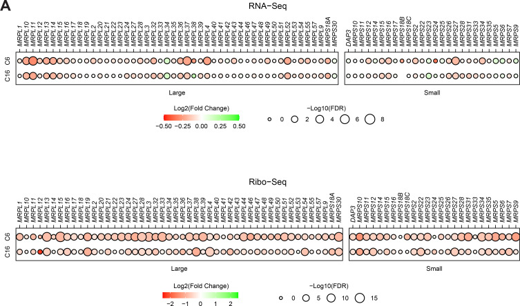 Figure 2—figure supplement 3.