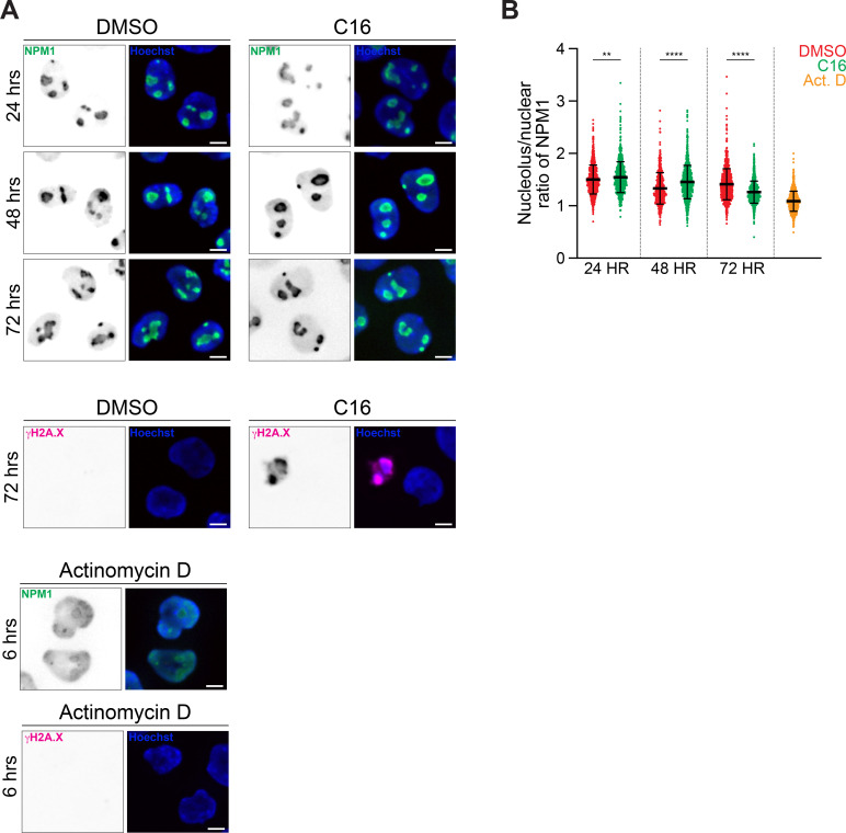 Figure 3—figure supplement 4.