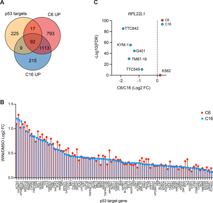 Figure 1—figure supplement 2.