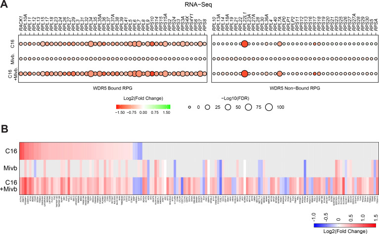 Figure 5—figure supplement 3.