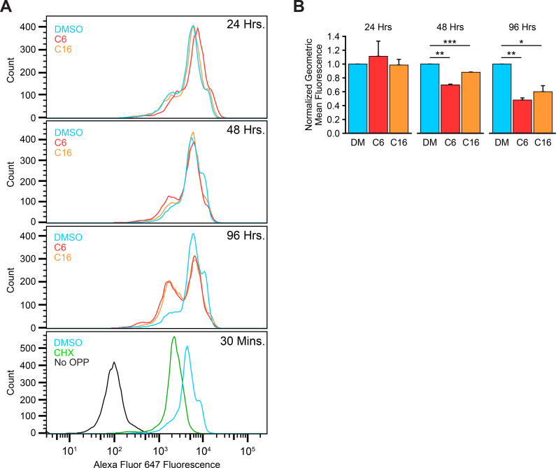 Figure 2—figure supplement 1.