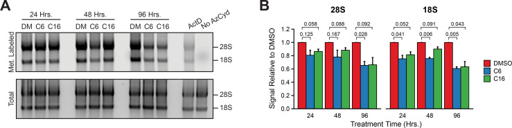 Figure 3—figure supplement 3.