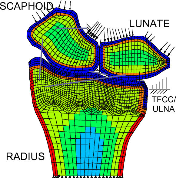 Figure 3 