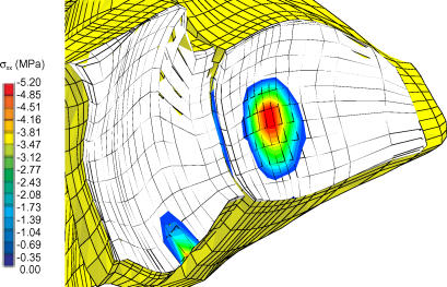 Figure 7B