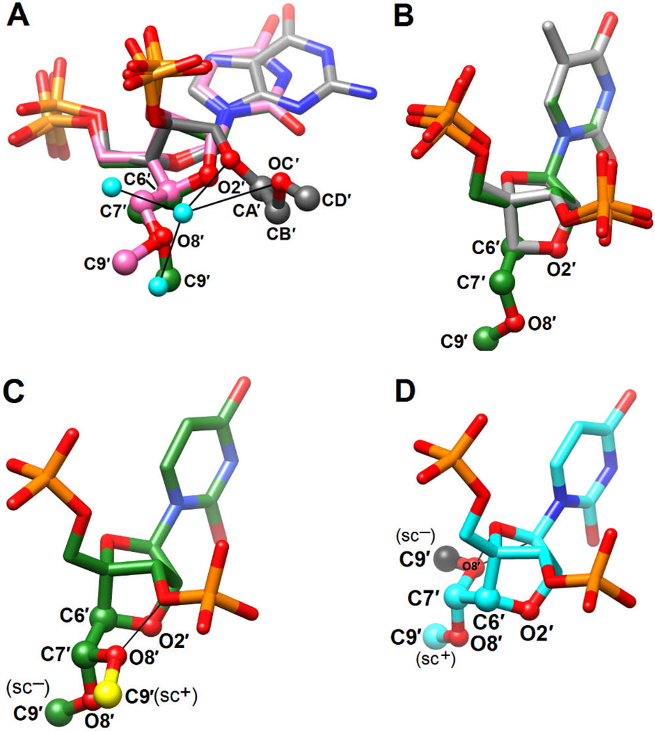 Structure and Nuclease Resistance of 2′,4′-Constrained 2′-O ...