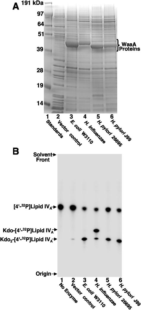 FIG. 7.