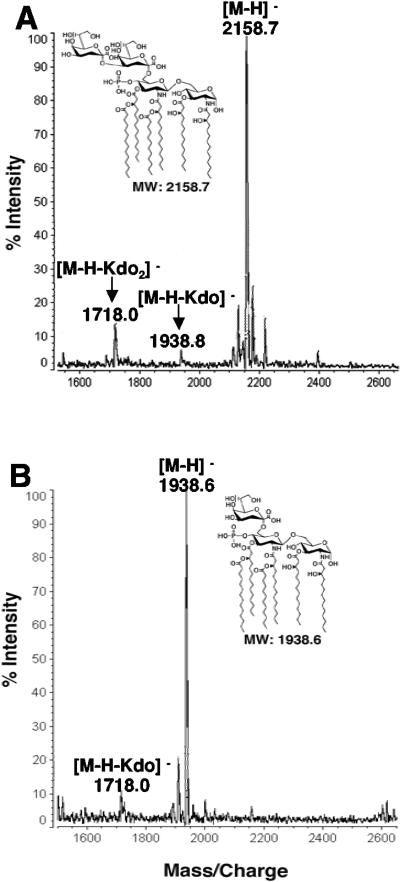 FIG. 5.