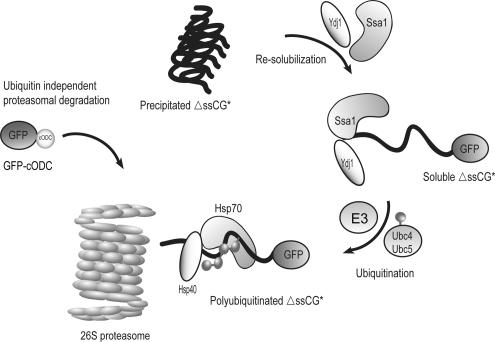 Figure 10.