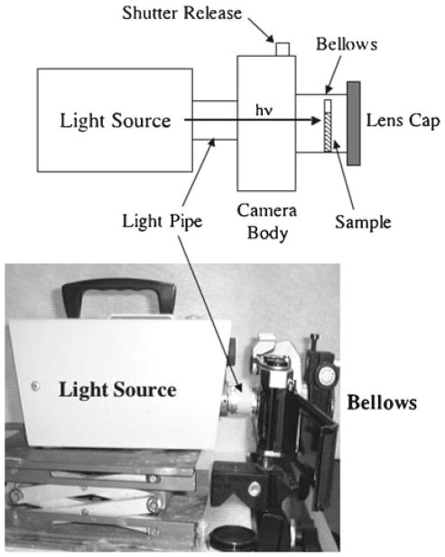 Fig. 1