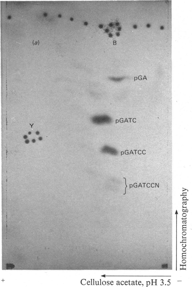 Fig. 13.