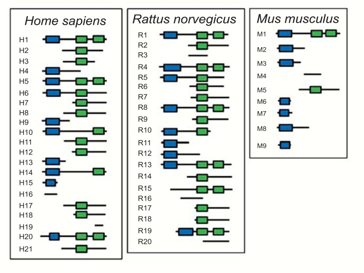 Fig. (6)