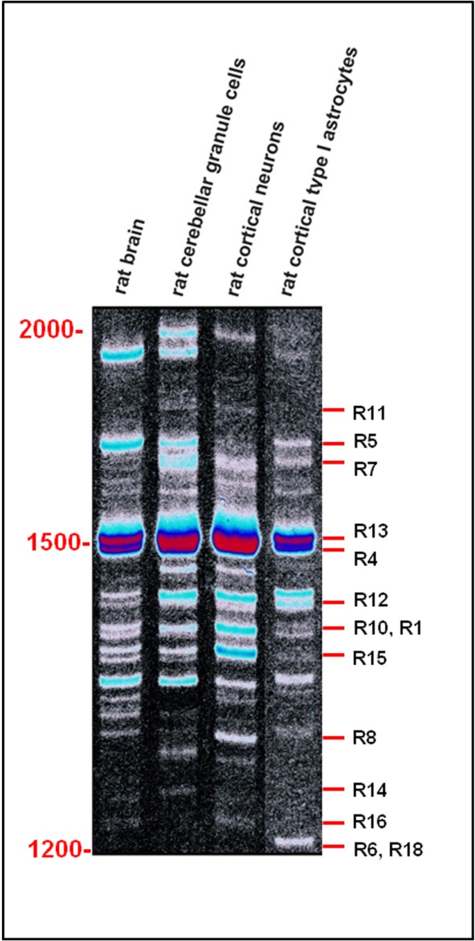 Fig. (7)