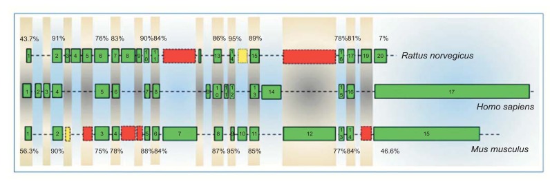 Fig. (5)