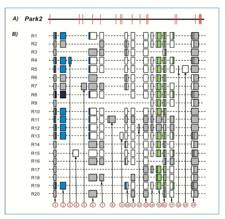 Fig. (3)