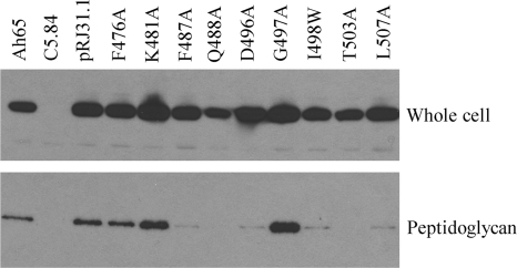 FIG. 5.