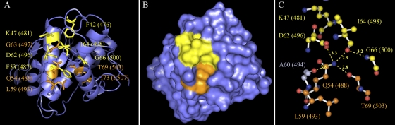 FIG. 3.