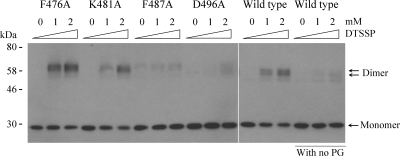 FIG. 7.