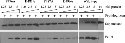 FIG. 6.