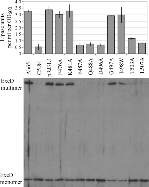 FIG. 4.