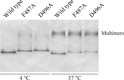 FIG. 8.