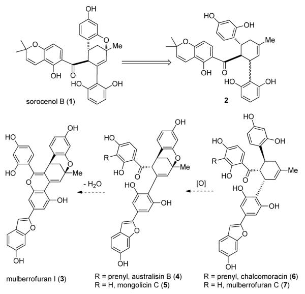 Scheme 1