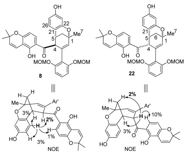 Scheme 6