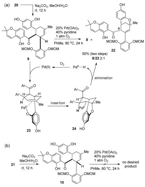 Scheme 5