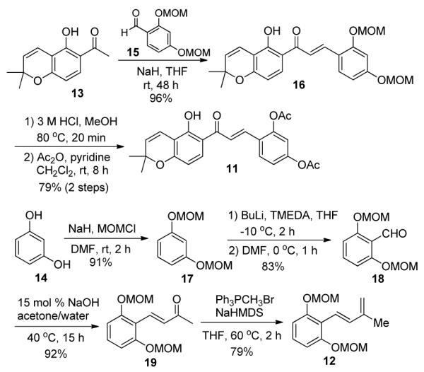 Scheme 3