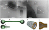 Fig. 18