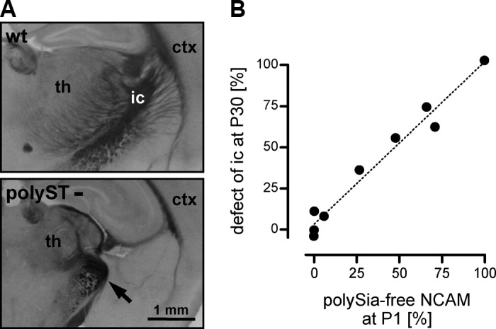 FIGURE 25.