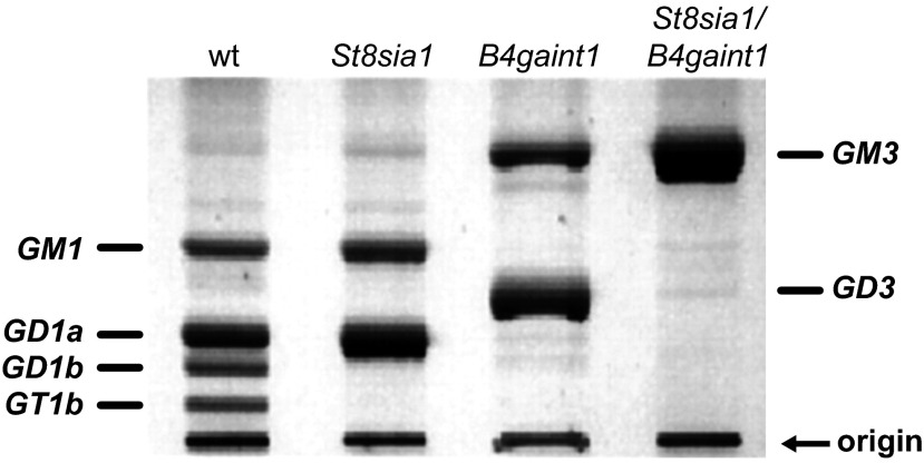 FIGURE 17.