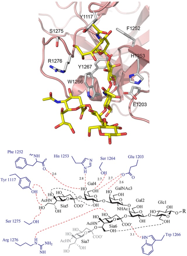 FIGURE 21.