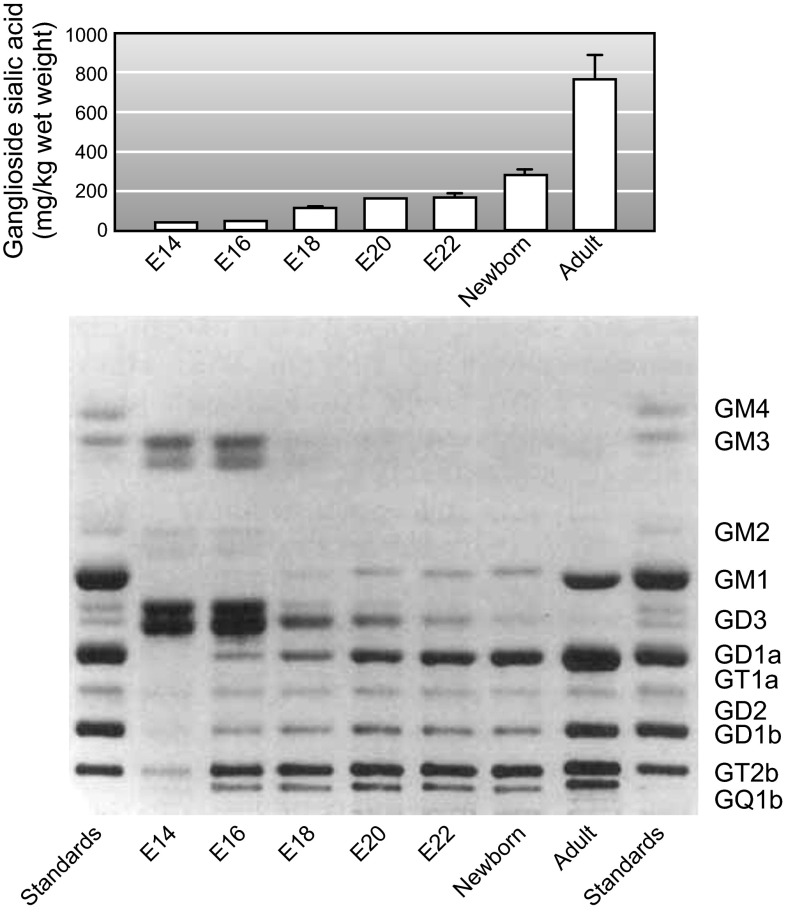 FIGURE 12.