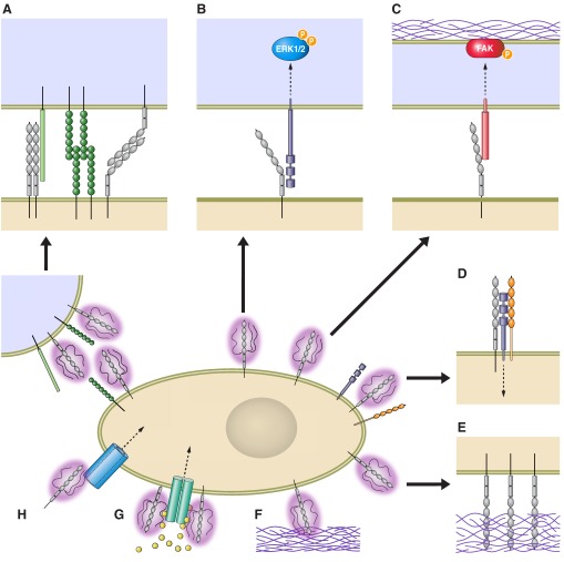 FIGURE 23.