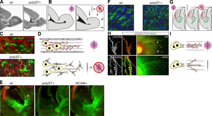 FIGURE 24.