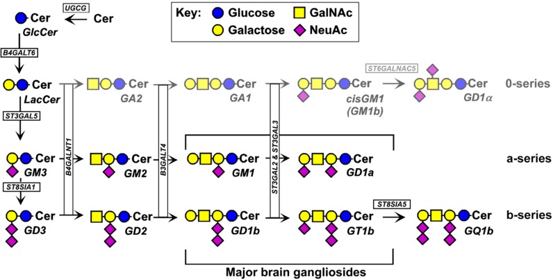 FIGURE 11.