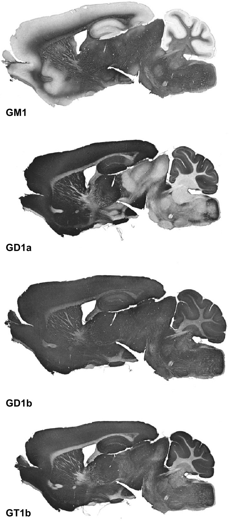 FIGURE 13.