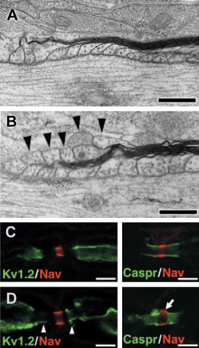 FIGURE 19.