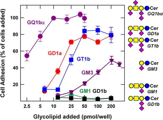 FIGURE 22.