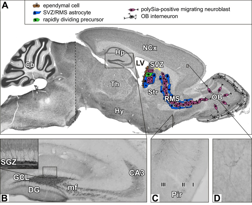 FIGURE 16.