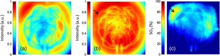 Fig. 11