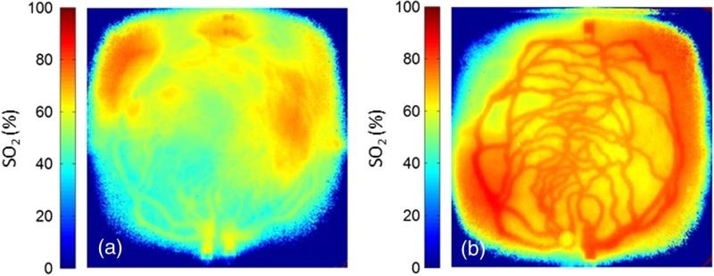 Fig. 9