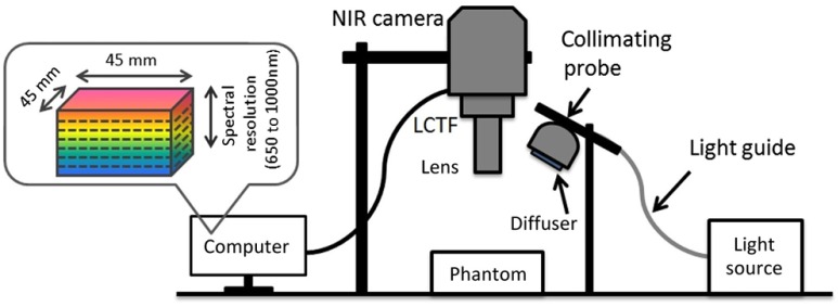 Fig. 2