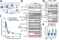 Figure 6: