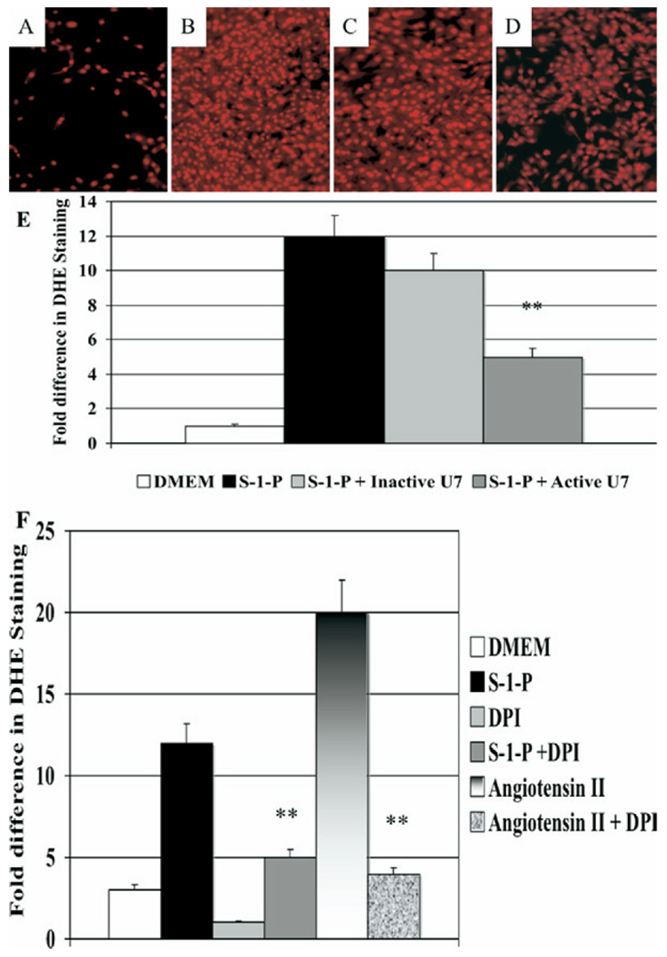 Fig E2 (online only)