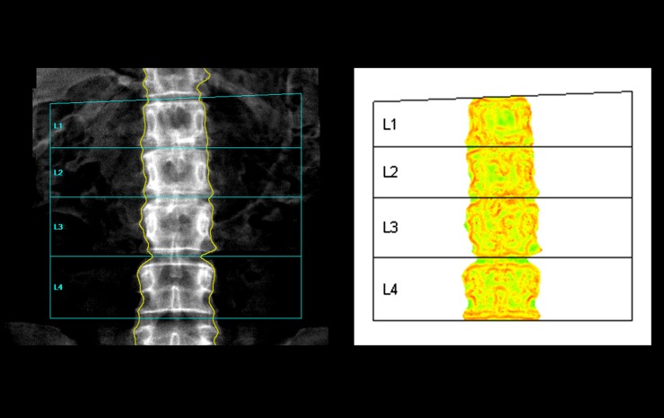 Figure 1.